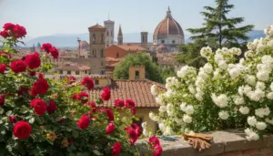 Rose rosse e bianche in un giardino con vista sulla Cupola del Duomo di Firenze
